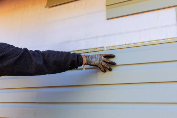 Best Historical Building Siding Restoration  in Elk Grove, CA